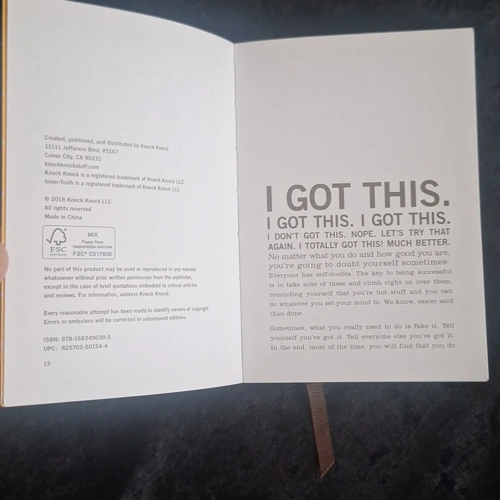 I Totally Got This Mini Inner-Truth Journal by Knock Knock